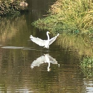 Meet your Posher, Patricia